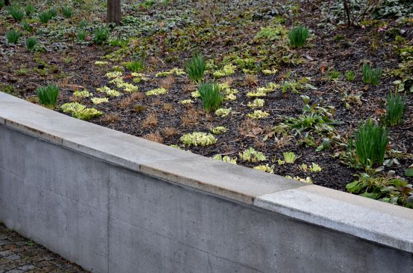 Concrete Wall Construction in Kent