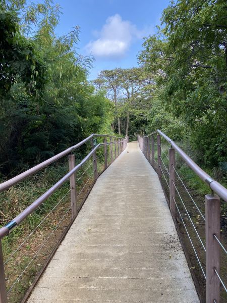 Footpath Construction in Kent